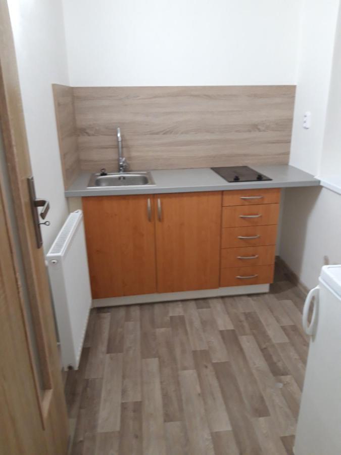Apartman Plasy Exterior foto